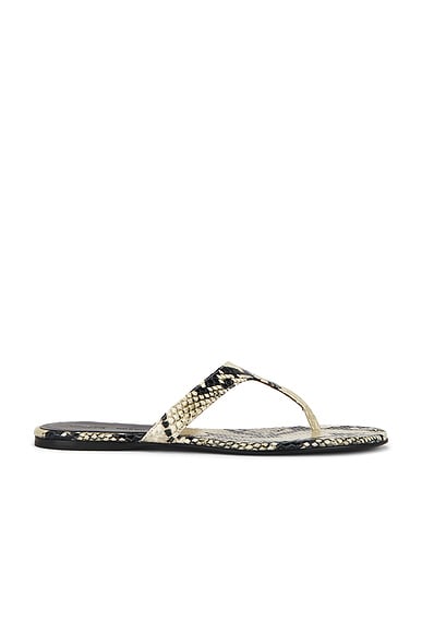 KHAITE Archer Thong Sandal in Natural