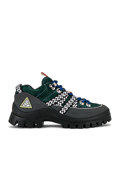Hiking Boots