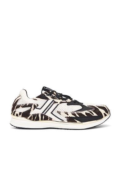 Lanvin Zebra Pony Meteor Runner Sneaker in Dark Beige & Burgundy