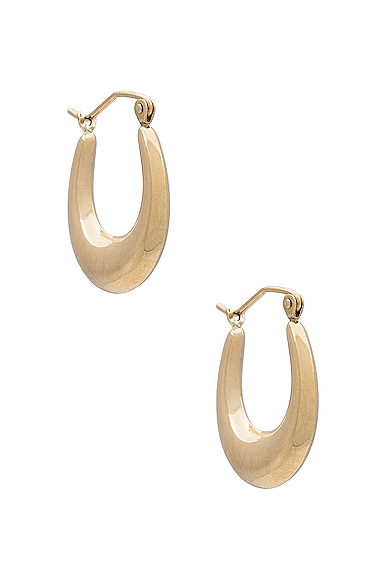 Loren Stewart Dome Hammock Hoop Earrings in 14k Yellow Gold