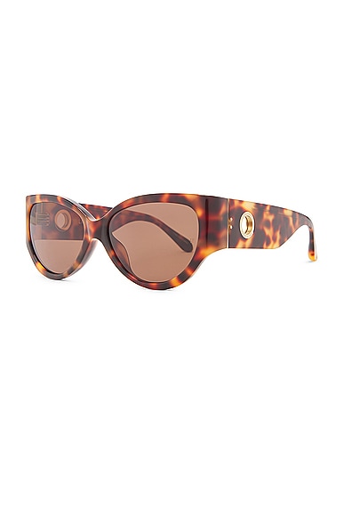Shop Linda Farrow Connie Sunglasses In T-shell  Yellow Gold  & Brown