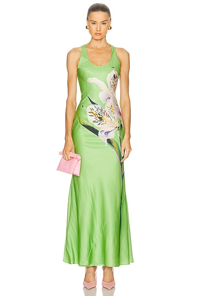 Helena Maxi Dress in Lily Print In Parakeet