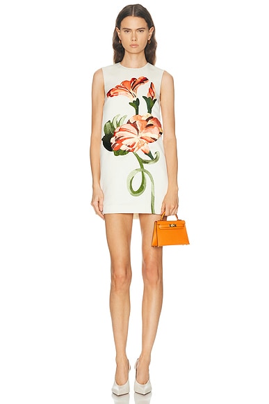 Yvonne Applique Floral Mini Dress in Vine Print