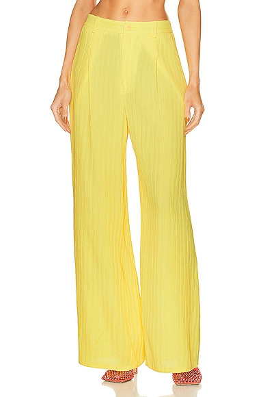 Lapointe Pleated Pant in Yellow