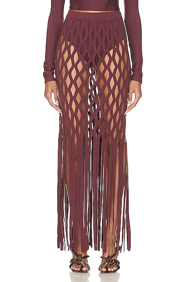 Fishnet Maxi Skirt With Brief