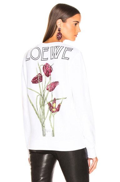 Loewe Logo Botanical Sweatshirt in White | FWRD
