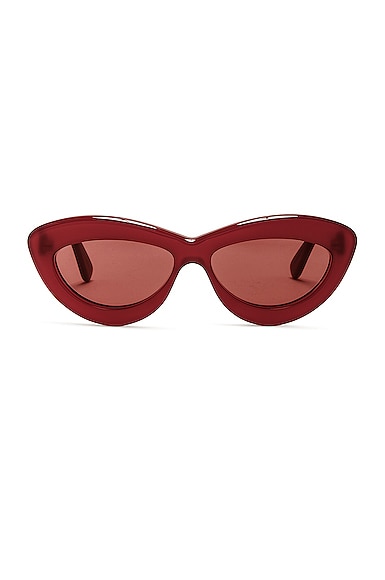 Loewe Cat Eye Sunglasses, 54mm In Cherry