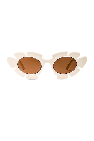 Loewe Paula's Ibiza Flower Sunglasses in White & Brown