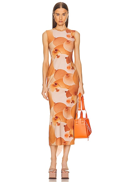 Loewe ドレス - Multicolor | FWRD
