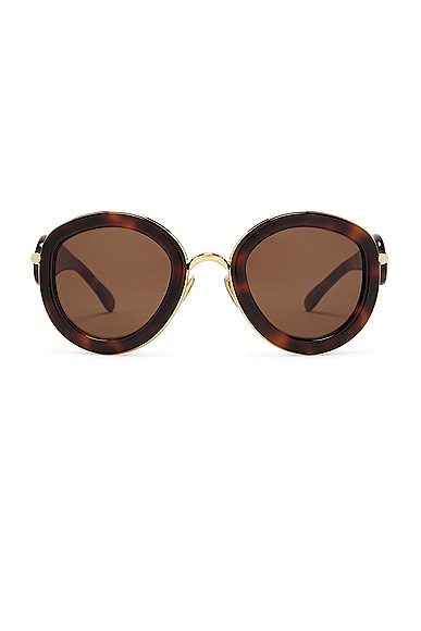 Shop Loewe Round Sunglasses In Dark Havana & Brown