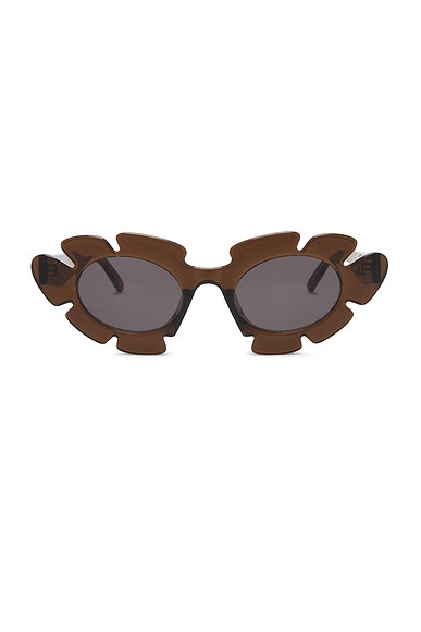 Loewe Round Sunglasses in Light Brown & Smoke