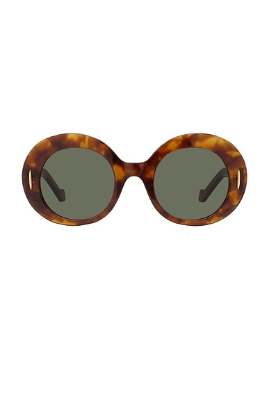 Loewe Round Sunglasses in Blonde Havana & Green