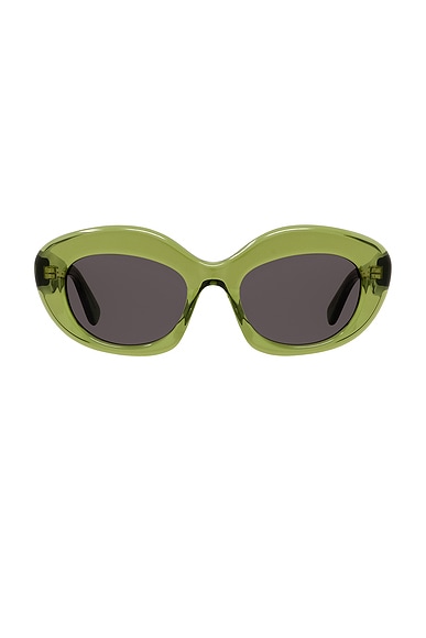 Loewe Curvy Sunglasses in Shiny Dark Green & Smoke