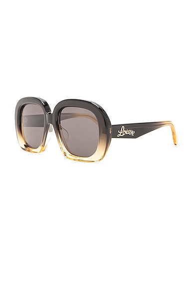 Shop Loewe Curvy Sunglasses In Dark Brown & Smoke
