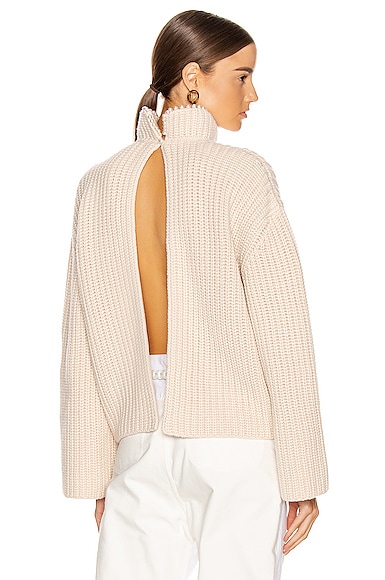 Pearls Cropped Sweater