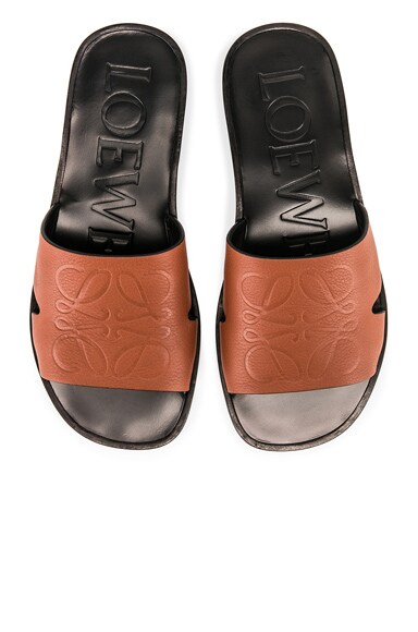 loewe anagram mule