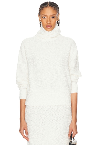 Evan Turtleneck Sweater