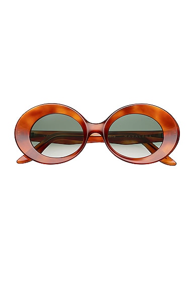LAPIMA Madalena Sunglasses in Brown