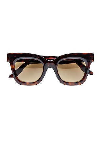 LAPIMA Lisa X Sunglasses in Brown