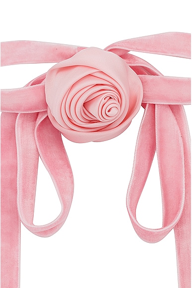 Shop Lele Sadoughi Silk Rosette Ribbon Choker Necklace In Dusty Rose