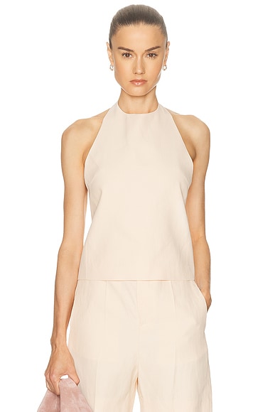 Sami Backless Halter Top