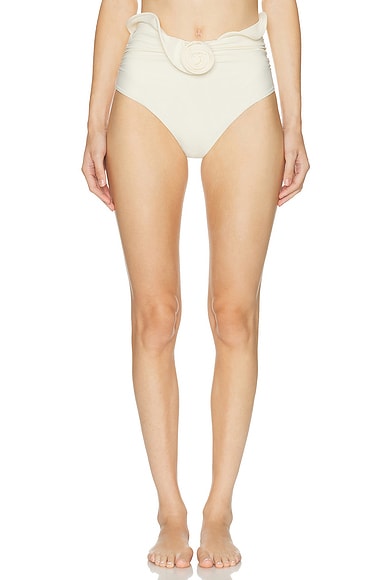【関税込み】Magda Butrym ブラウン ハイレグ ビキニボトム ビキニボトム - ブラック - レディース | H&M JP