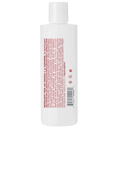 Cilantro Hair Conditioner