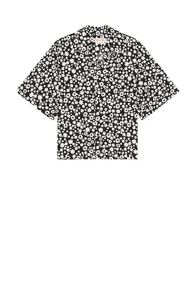 Button Down Shirt