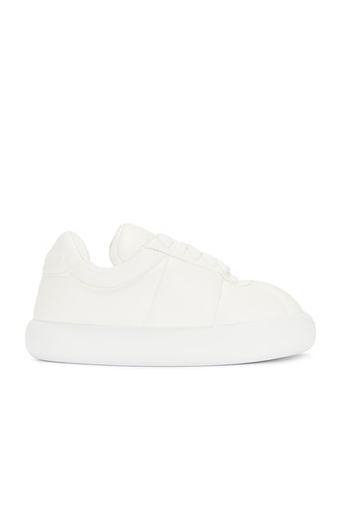 Marni Sneakers in Lily White