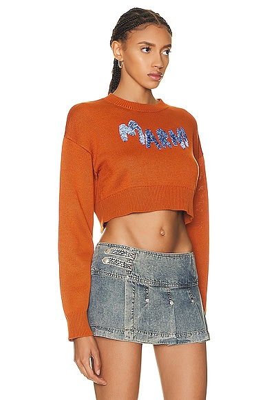 Shop Marni Logo Sweater In Apricot