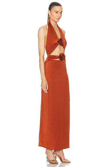 Shop Maygel Coronel For Fwrd For Fwrd Vaupes Dress In Terracotta