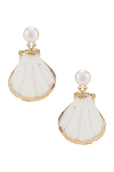 Pearl Drop Shell Earrings