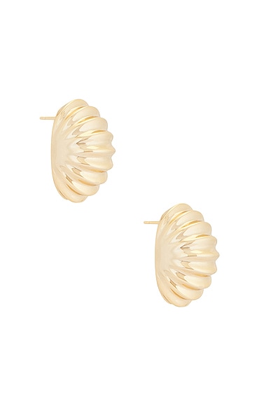 MEGA Snail Earring in 14k Yellow Gold Plated