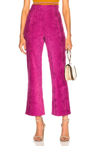 Lucy Pant