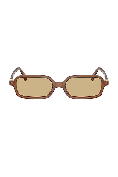 Miu Miu Rectangular Sunglasses in Brown