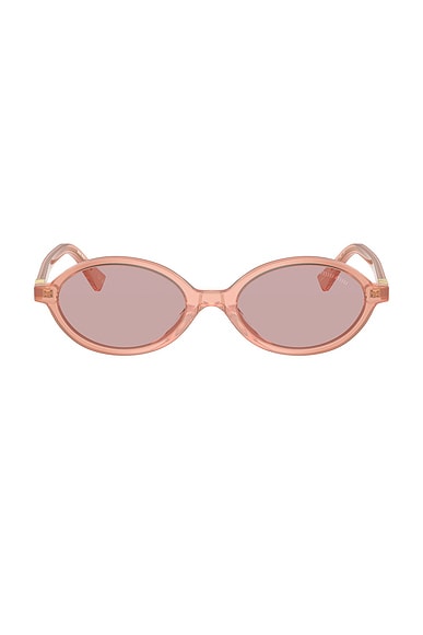Oval Sunglasses