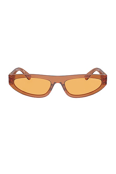 Miu Miu Flat Top Oval Sunglasses in Caramel Transparent
