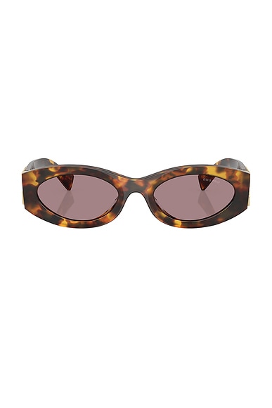 Oval Sunglasses in Havana Honey