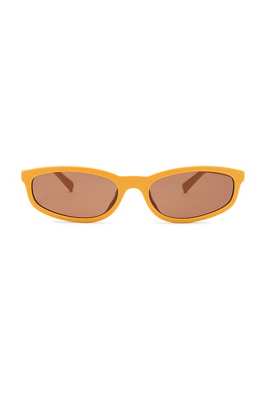 Oval Sunglasses