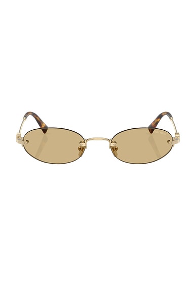 Oval Sunglasses