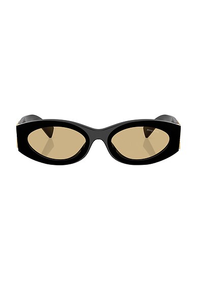 Oval Sunglasses