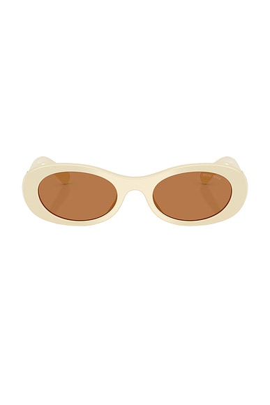 Oval Sunglasses