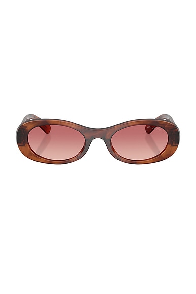 Oval Sunglasses