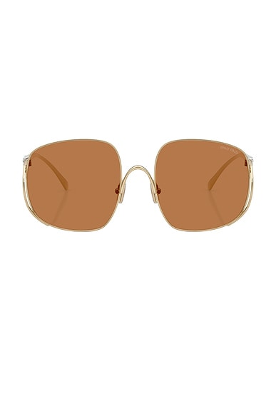 Square Sunglasses