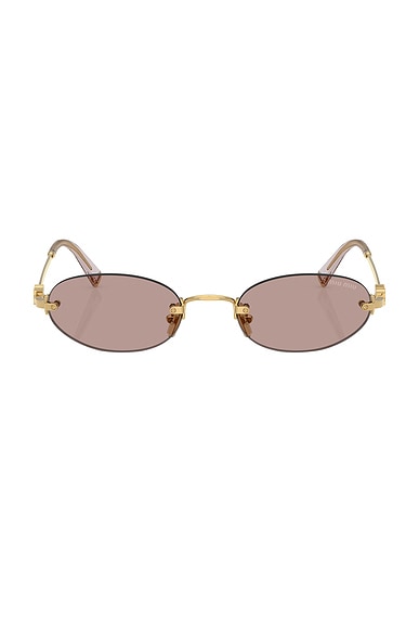 Oval Sunglasses