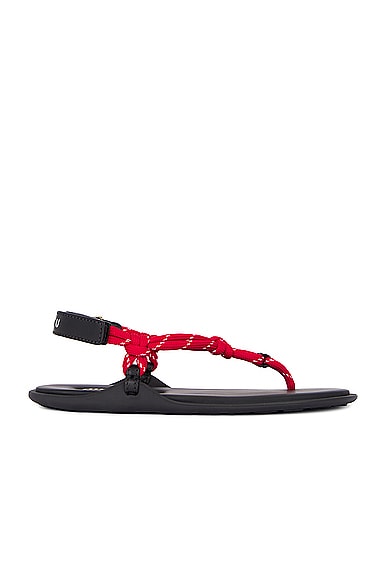 Shop Miu Miu Thong Sandal In Rosso