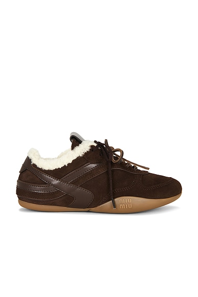 Miu Miu Gymnasium Winter Sneaker in Moro
