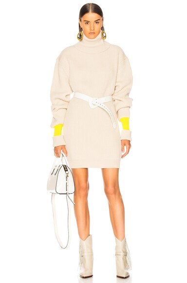 Banded Sleeve Turtleneck Sweater Dress