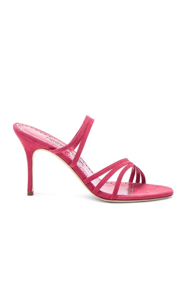 Manolo Blahnik Andena 90 Sandal in Fandango Watermelon Pink Suede | FWRD