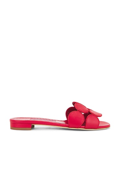 The Row Flat Knot Sandal Two in Red | FWRD